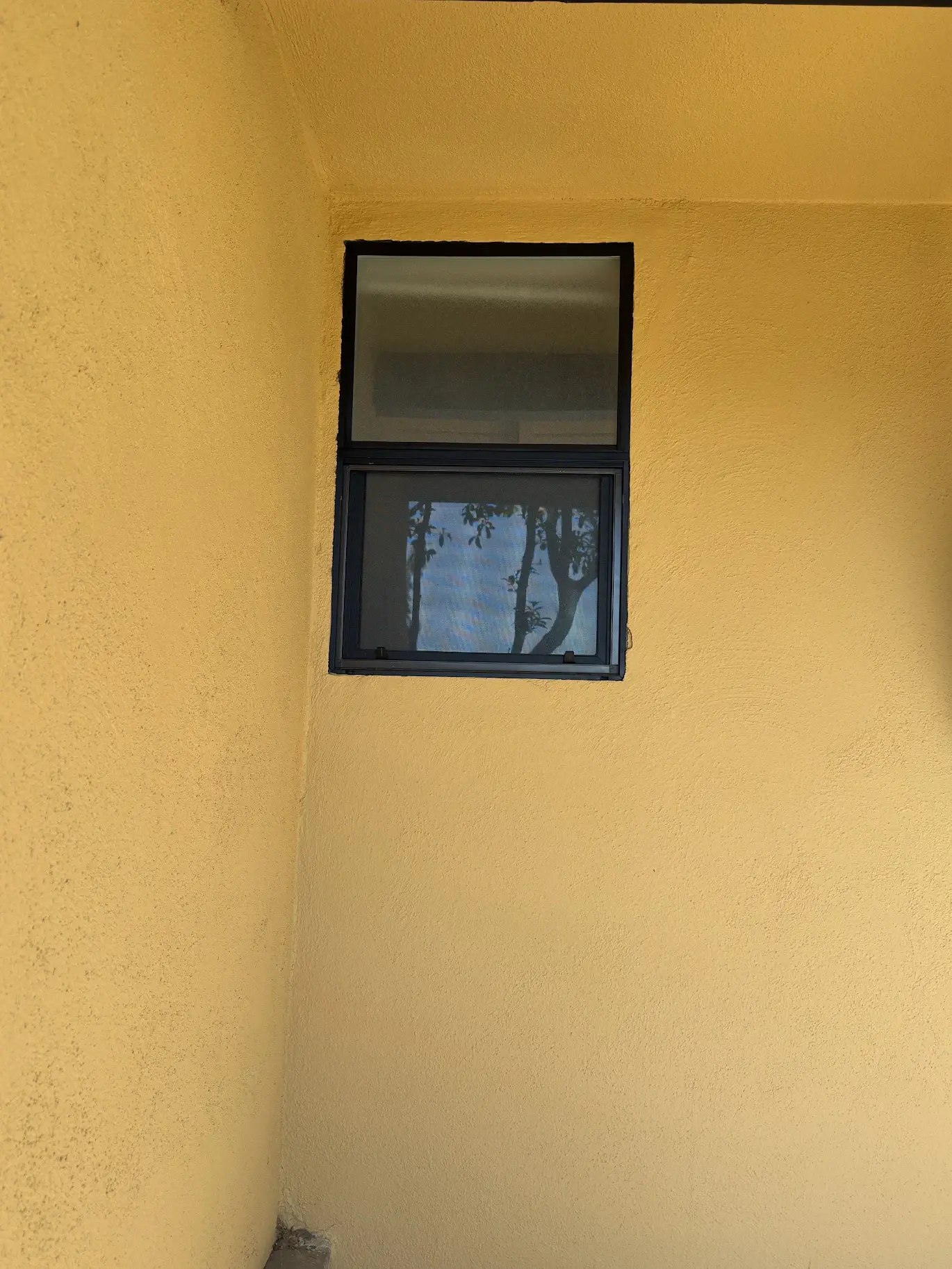 New Window Screen Installation — job photo 4