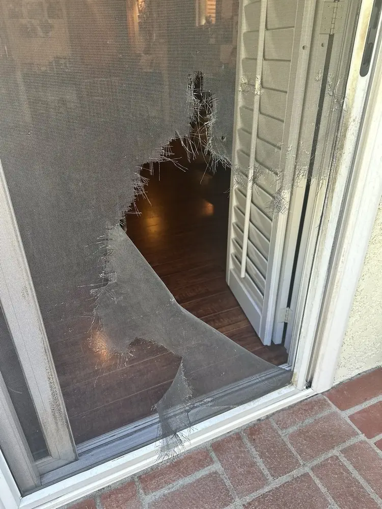 Golden Screen Services job photo 22