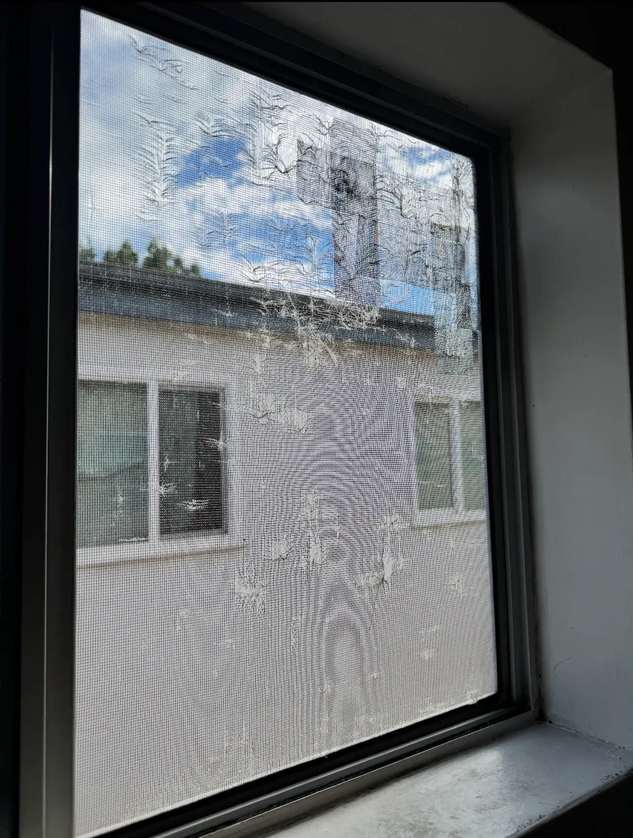 Golden Screen Services job photo 72