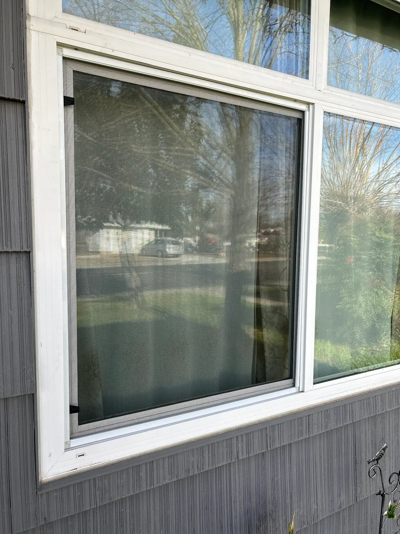 Golden Screen Services job photo 76