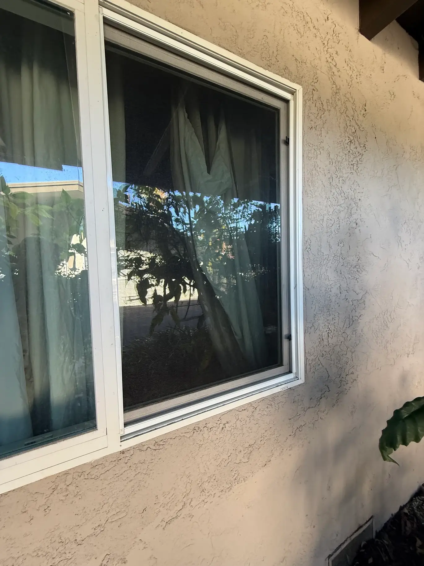 Golden Screen Services job photo 84