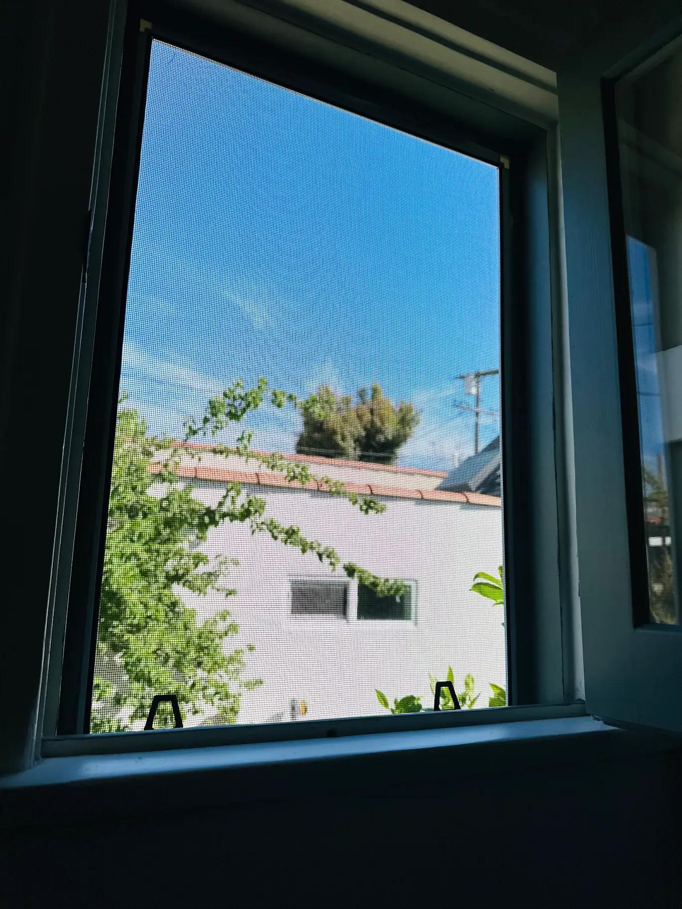 Golden Screen Services job photo 85