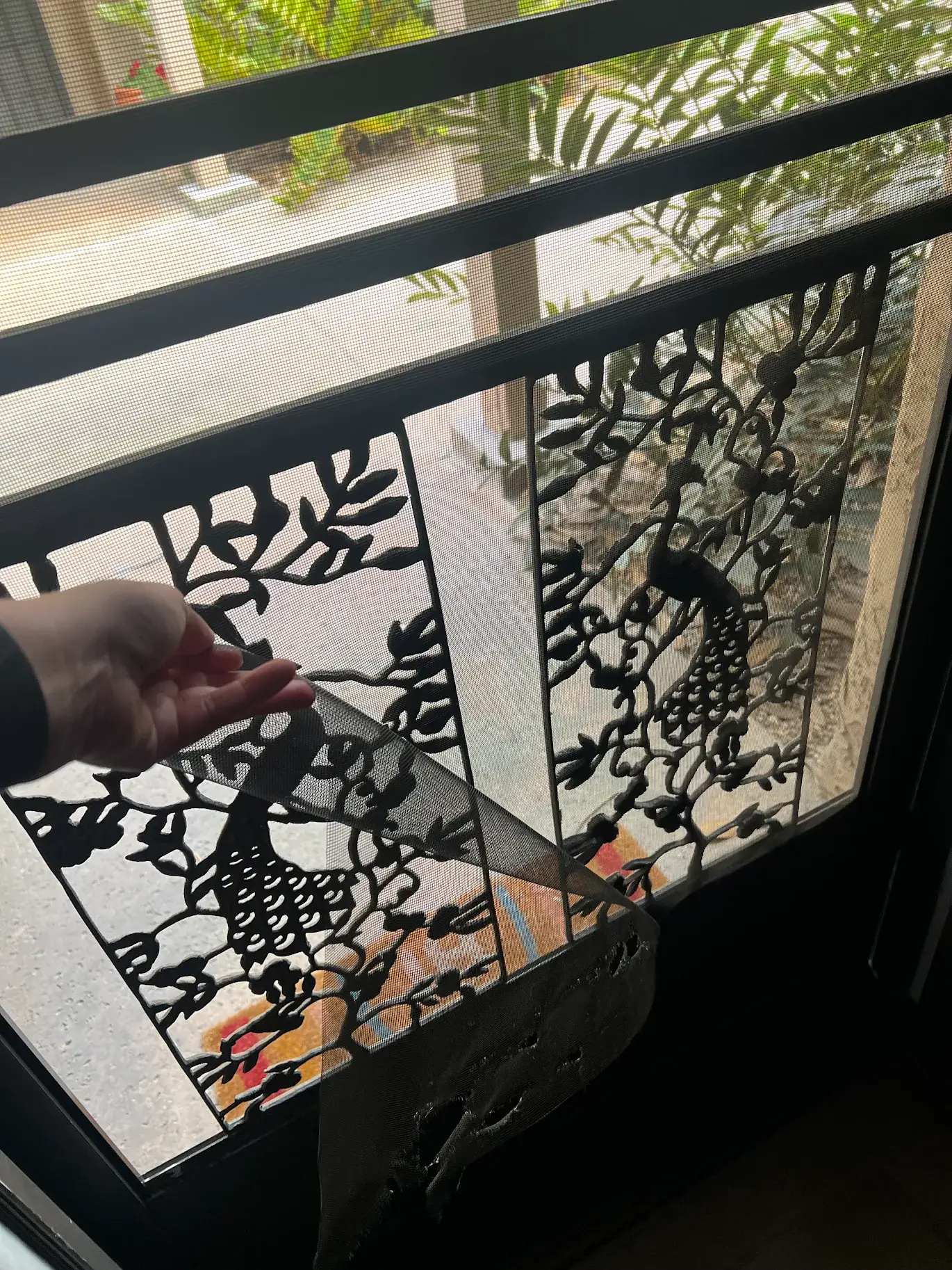 Golden Screen Services job photo 90