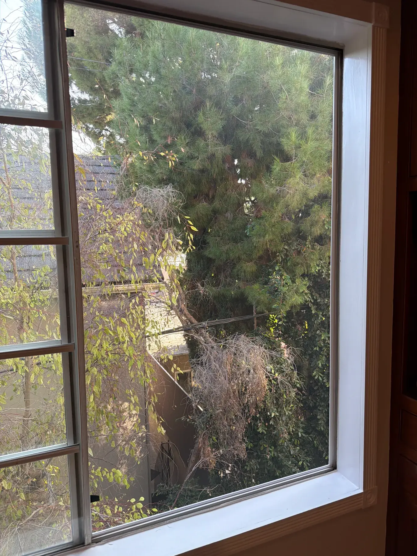Golden Screen Services job photo 93
