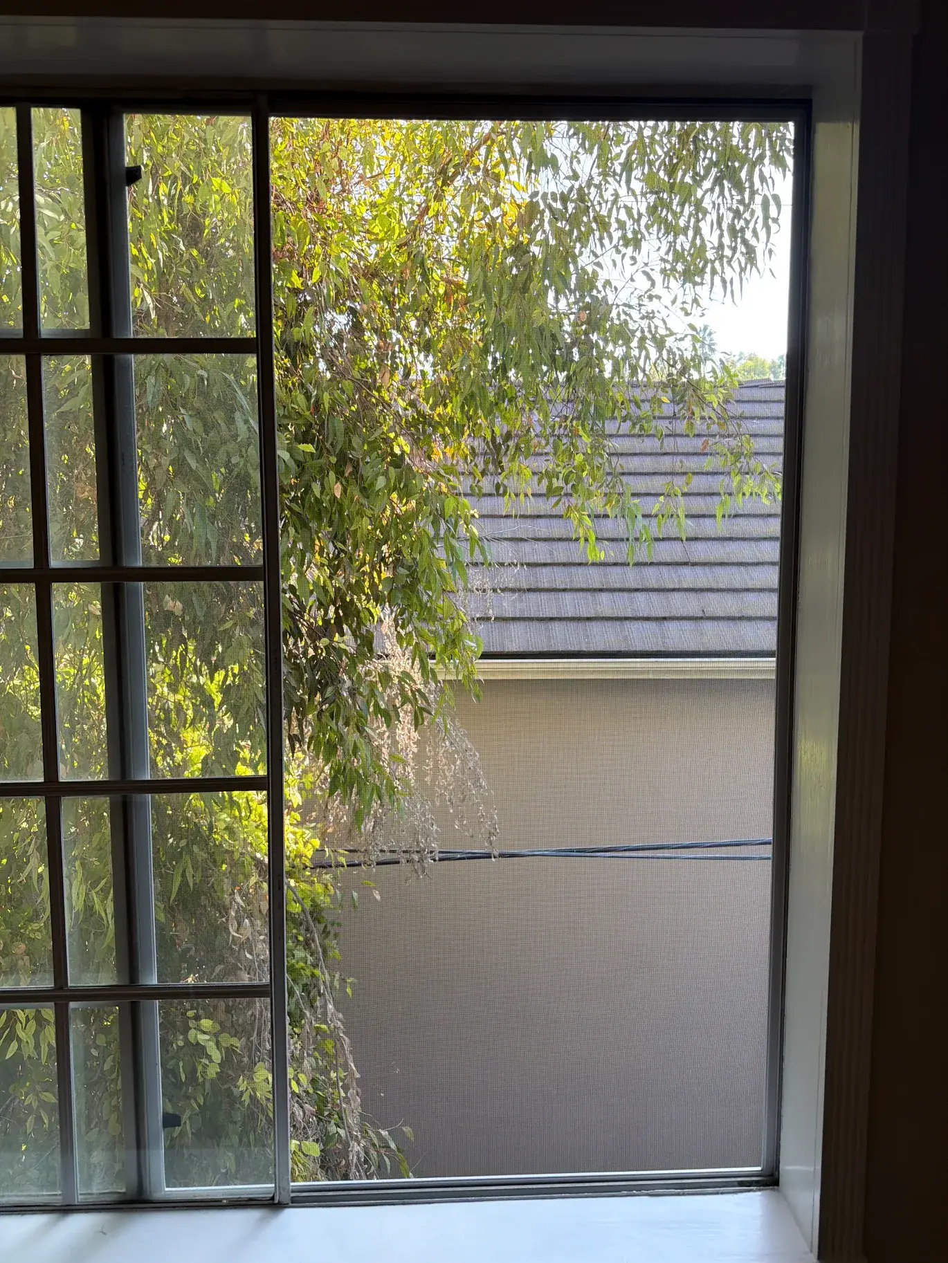 Golden Screen Services job photo 94