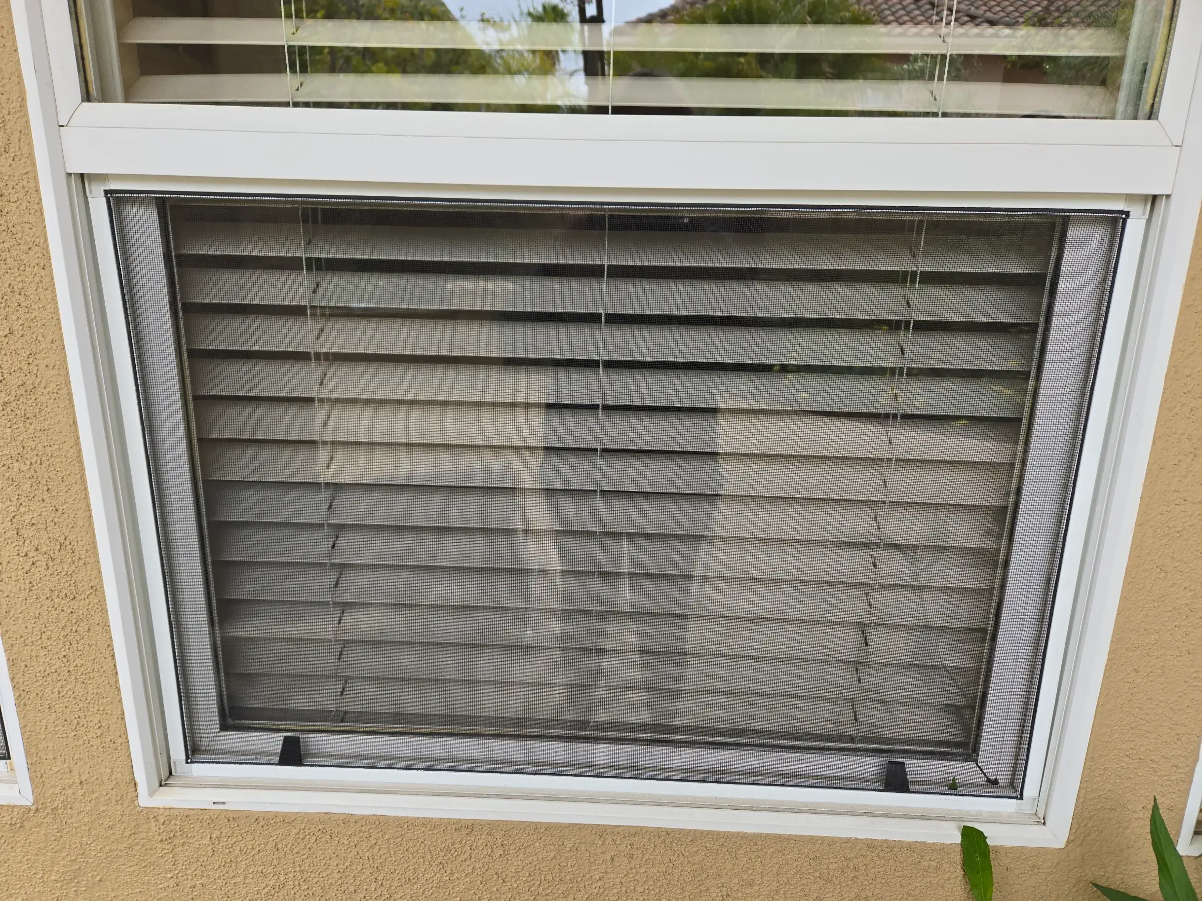 Golden Screen Services job photo 96