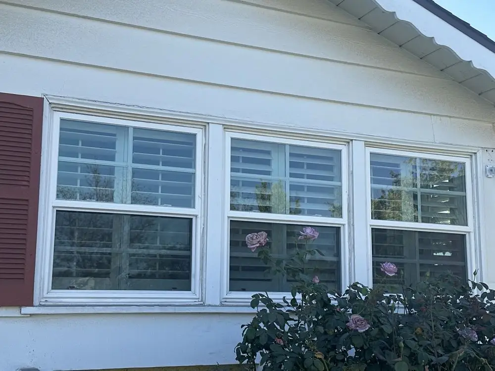 Golden Screen Services job photo 97
